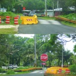 Damaged Bridges